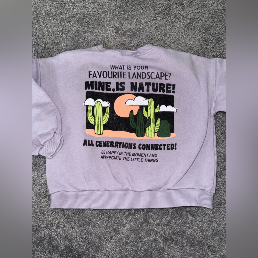 Zara - desert landscape “all generations” sweatshirt
